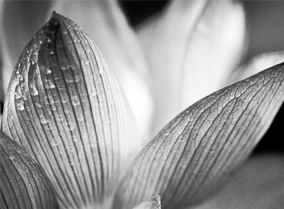 ddos在线攻击测试网站