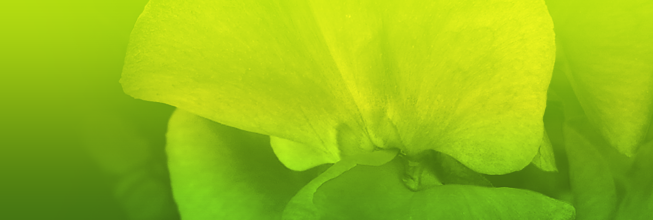 无损服务升级的攻击网站的方法